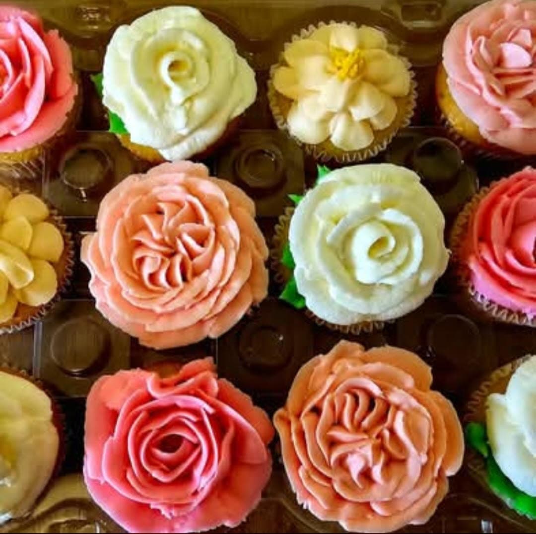 Cupcake Box